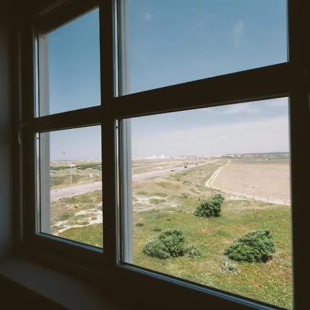 55 - Surfers Paradise شقة