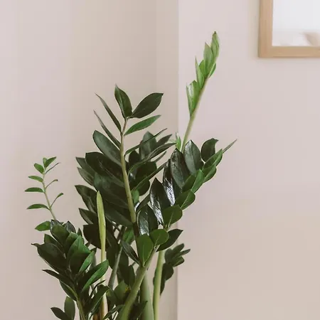 55 - Surfers Paradise شقة فيريل