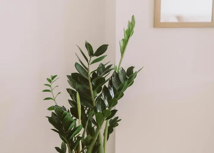 55 - Surfers Paradise Apartment Ferrel (Leiria)